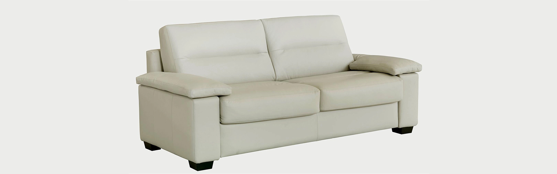 Sleeper Sofas