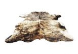 Brazlian Cowhide 72121