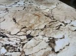 Design Vintage Style Soft Polyester Print Rug 722391710